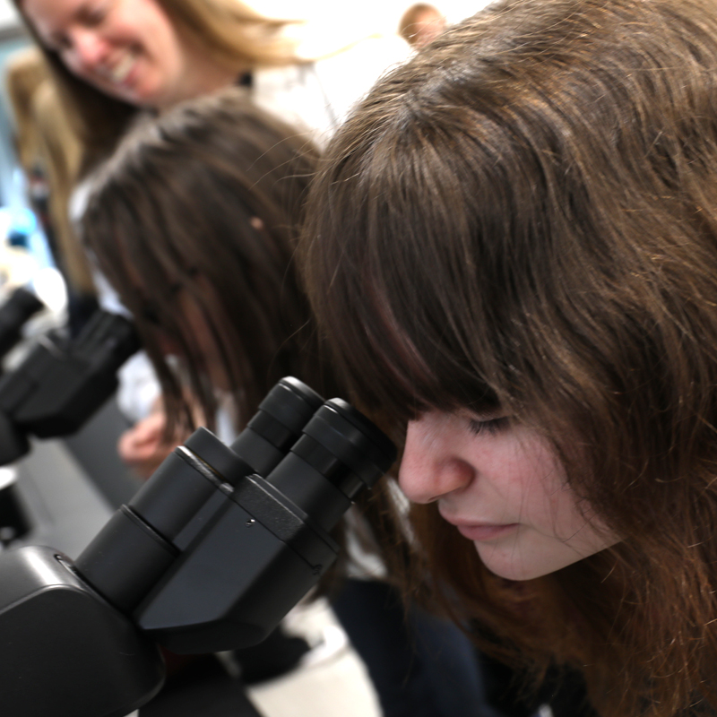 Middle school girls looking at microscope