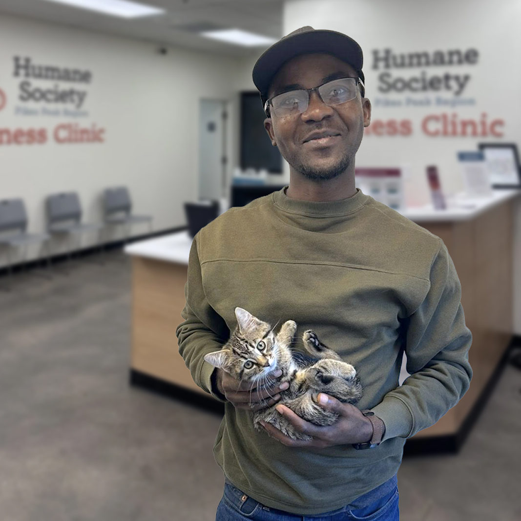 Kibe Wilondja holdiing a cat in the lobby of a humane society clinic