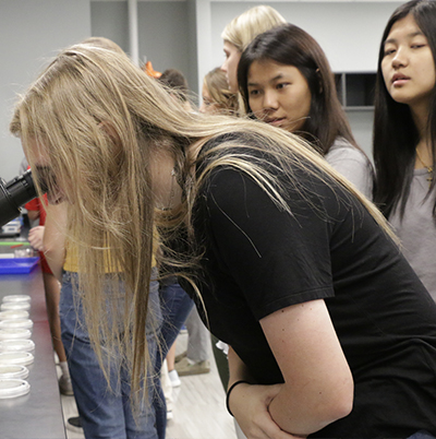 Female high school student looking in a microscope with other female student watching
